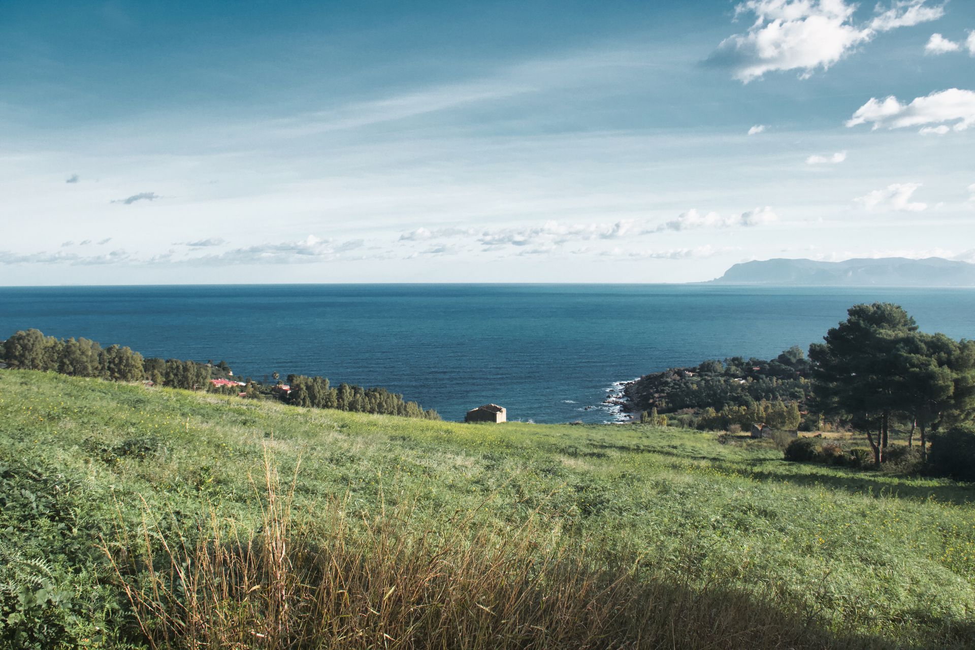La costa della Riserva dello Zingaro tra mare e vegetazione